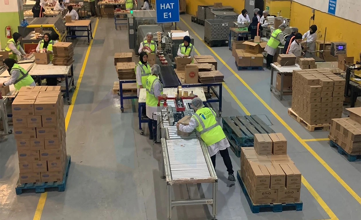 Katma Değerli Hizmetler